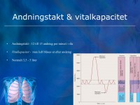 /album/andning-vitalkapacitet/a6-andningssystemet-key-klar-012-jpeg/